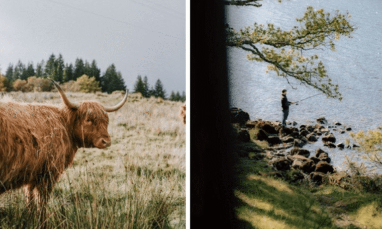 Inverlonan to open landscape hotel at Ballygowan Farm